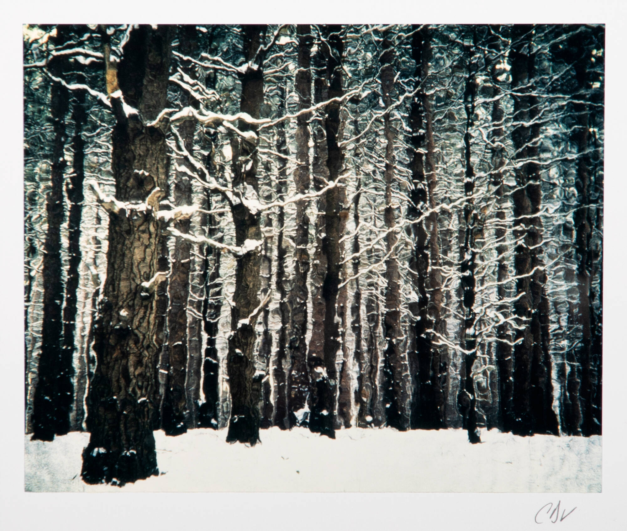 Print of trees during a snowstorm.